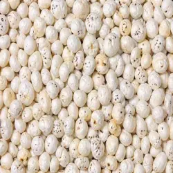 Grade Standard, subject to availability, Colour Natural white off-white, Storage Recommendations Airtight Container, Standard Grade Mithila Makhana, axmi Mithila Makhana Impex Pvt Ltd