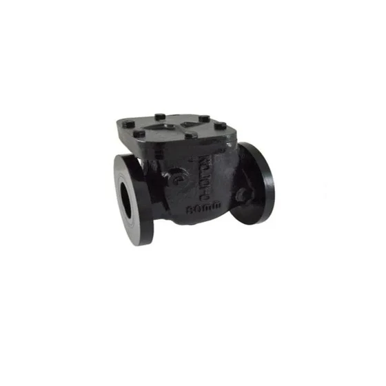 ci-zoloto-non-return-valve-2.webp