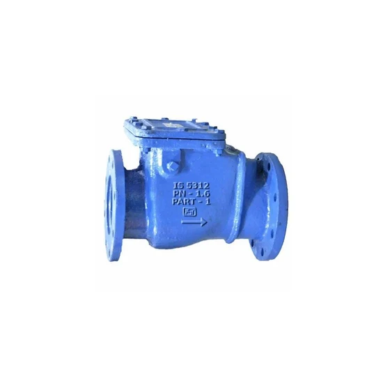 4-inch-ci-reflux-non-return-valve-2.webp