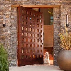 External Hardwood Doors, Eye-catching & unique