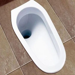 Iwc Indian Toilet Seat, 620x 460x 355mm, white