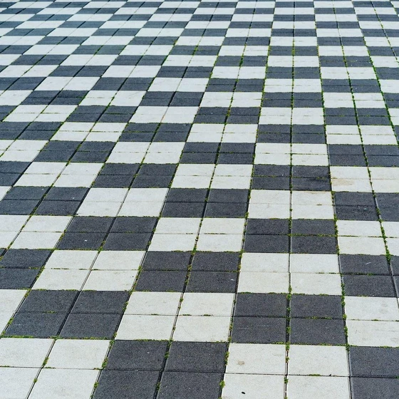 chequered-floor-tiles-2.webp