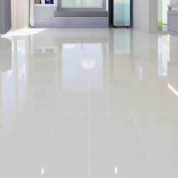 Floor Vitrified Tiles