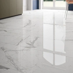 Porcelain Polished Tiles