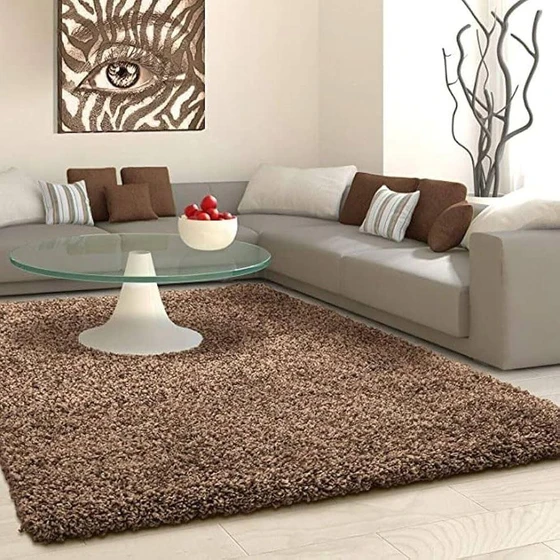 plain-floor-carpet-designed-in-aesthetic-look-2.webp