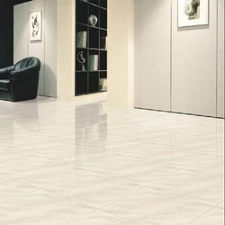 Polished Flooring Tiles