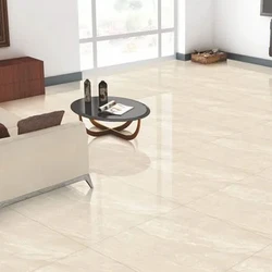 Polished PGVT Tiles