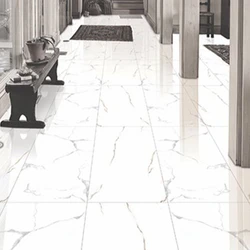 Digital Vitrified Tiles