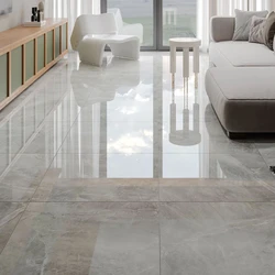 Polished Ceramic Tiles