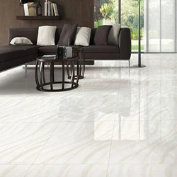 Double-Charge Vitrified Tiles