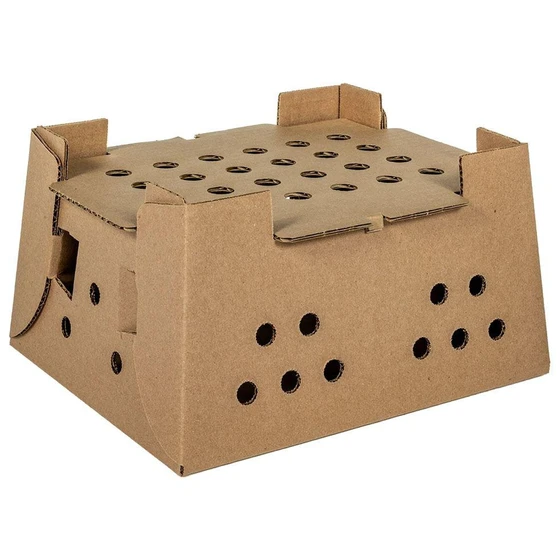 corrugated-chick-carton-box-2.webp