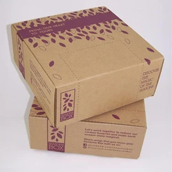 Corrugated Printed Mono Carton, Offset ink coated
