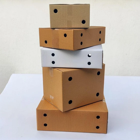 perforated-corrugated-carton-2.webp