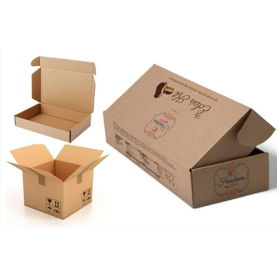 corrugated-carton-fold-box-2.webp