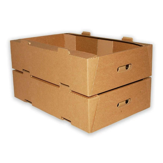fruit-corrugated-carton-box-2.webp