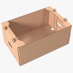 Fruit Corrugated Carton Box, Moisture-resistant layer