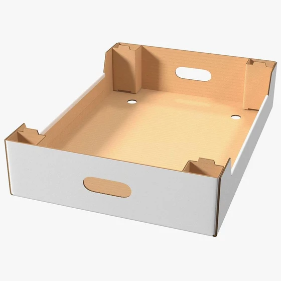 corrugated-carton-tray-2.webp