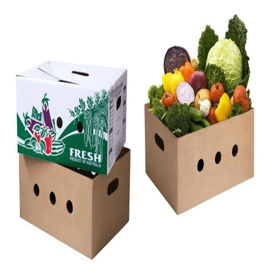 vegetable-corrugated-box-2.webp