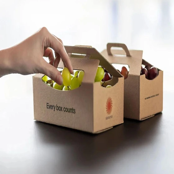 corrugated-fruits-packaging-boxes-2.webp