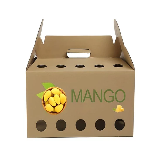 mango-corrugated-packaging-boxes-1.webp