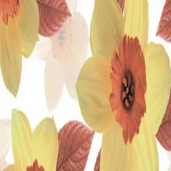 Kitchen Digital Wall Tiles