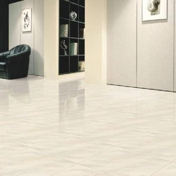 Polished Porcelain Tiles