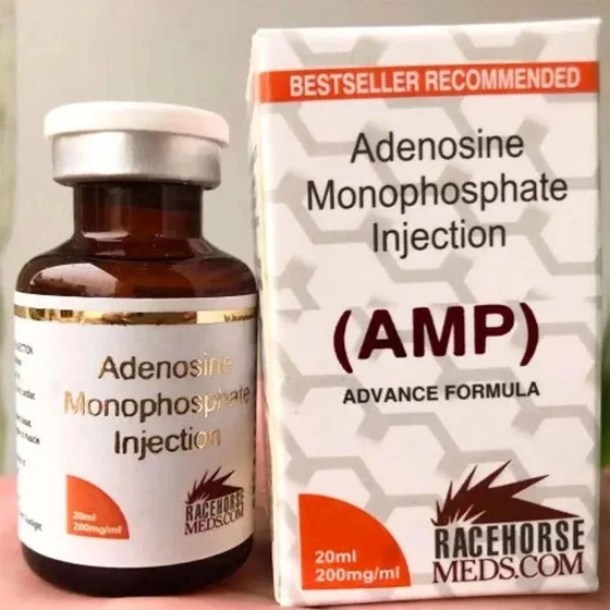 adenosine-monophosphate-injection-2.webp