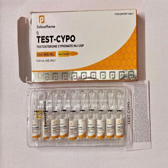 test-cypo-testosterone-cypionate-injection-2.webp