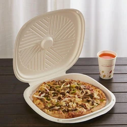plastic pizza box, Reusable food-grade polymer