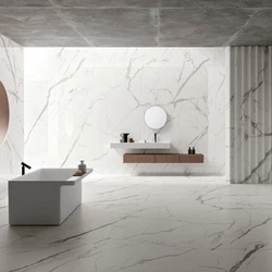 Porcelain Wall Tiles