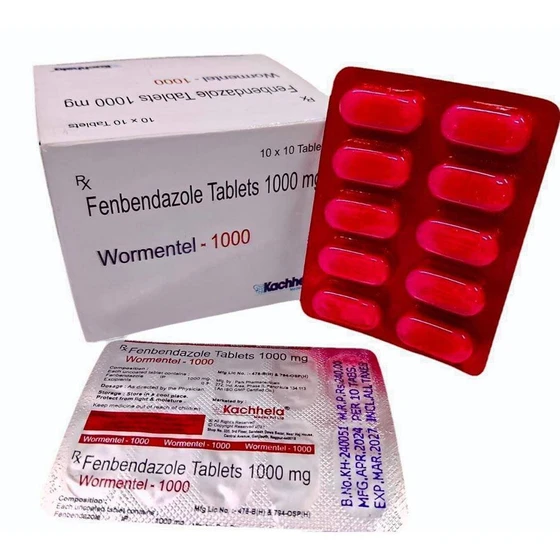 fenbendazole-1000-mg-tablet-1.webp