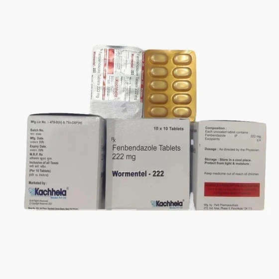 fenbendazole-1000-mg-tablet-2.webp