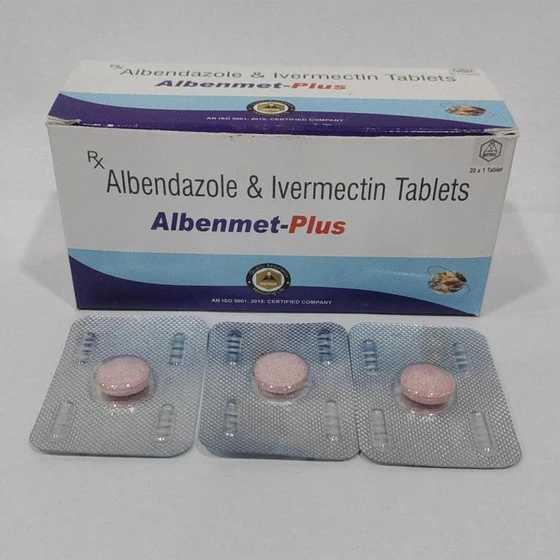 wormcish-ivermectin-tablet-1.webp