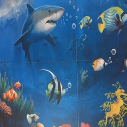 Printed Wall Tiles