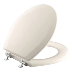 Polished Commode Seat