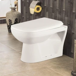 Enigma Toilet Seat