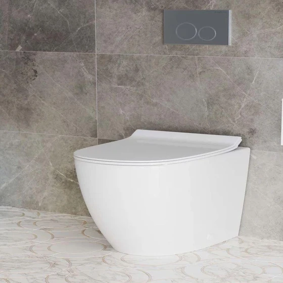 glossy-ceramic-toilet-2.webp