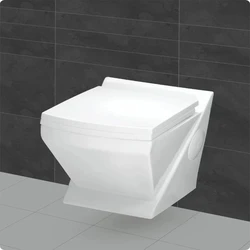 Wall Mounted Commodes