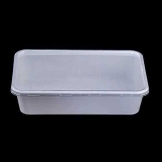 rectangle-disposable-container-1.webp