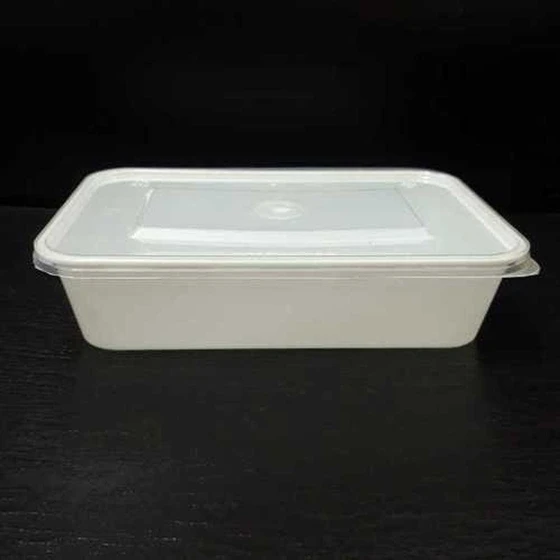 rectangle-disposable-container-2.webp