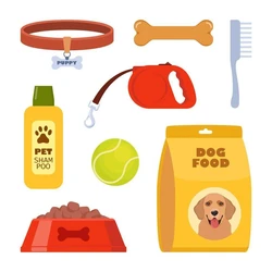 Pet Accessories 