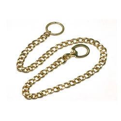 Brass Pet Collars