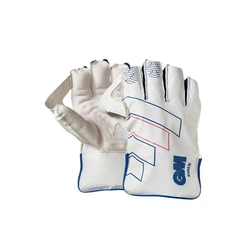 Wicket Keeper Hand Gloves
