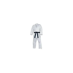  Kungfu Sport Uniform