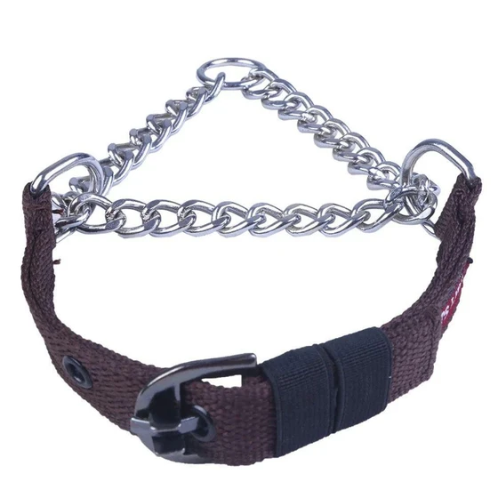 choking-polyester-dog-leash-2.webp