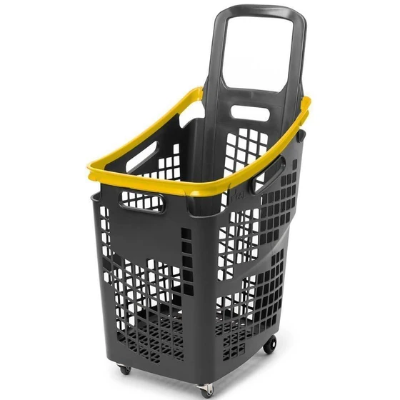 shopping-plastic-trolley-2.webp