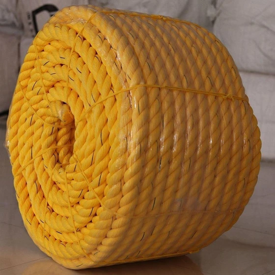 pp-ropes-marine-2.webp