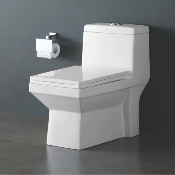 sanitary-ware-closet.webp
