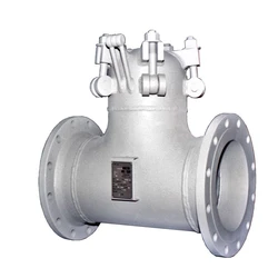 Water T Strainer