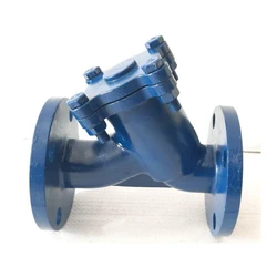 Steel CS Strainers